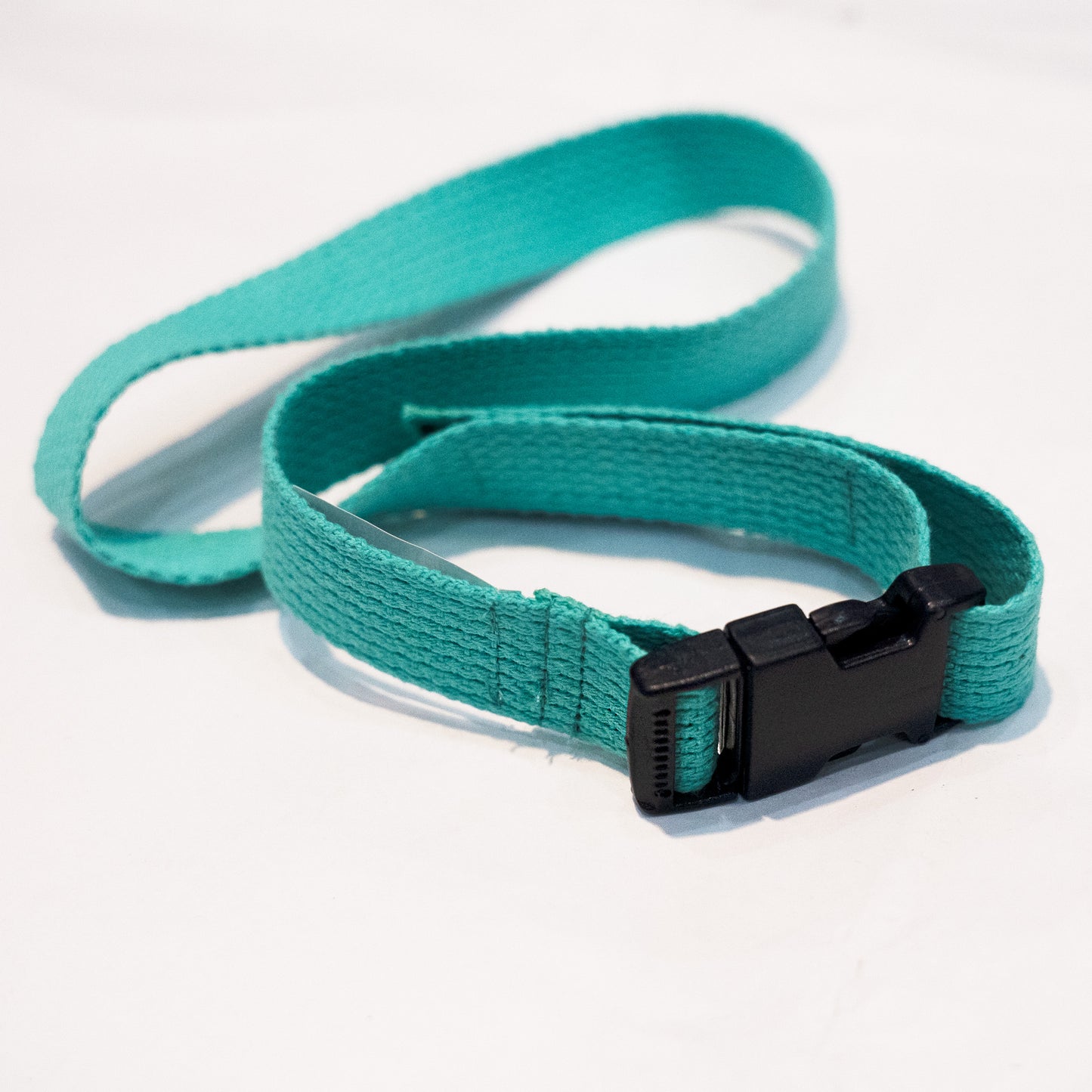 EZ Ski Tote - Mint