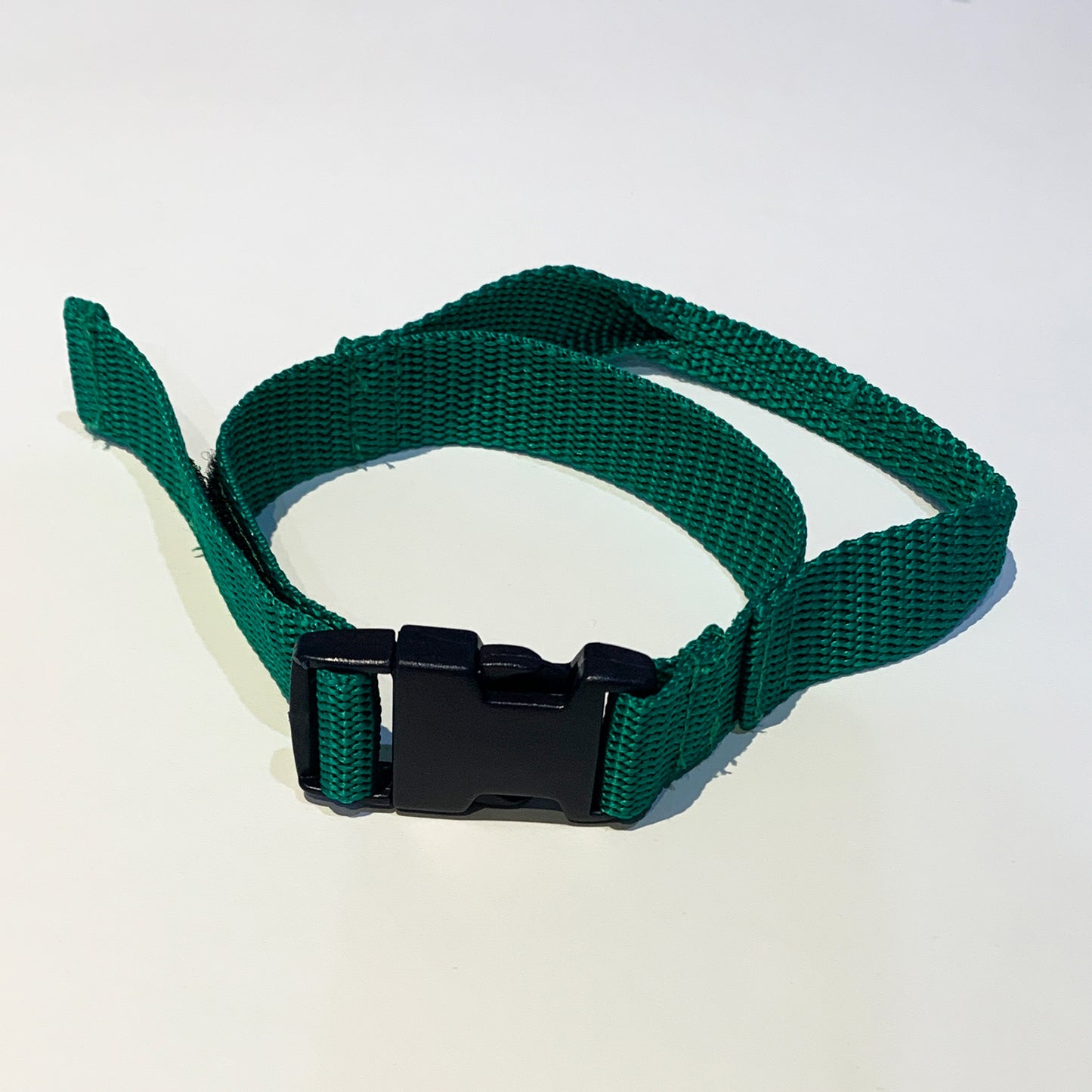 EZ Ski Tote - Green