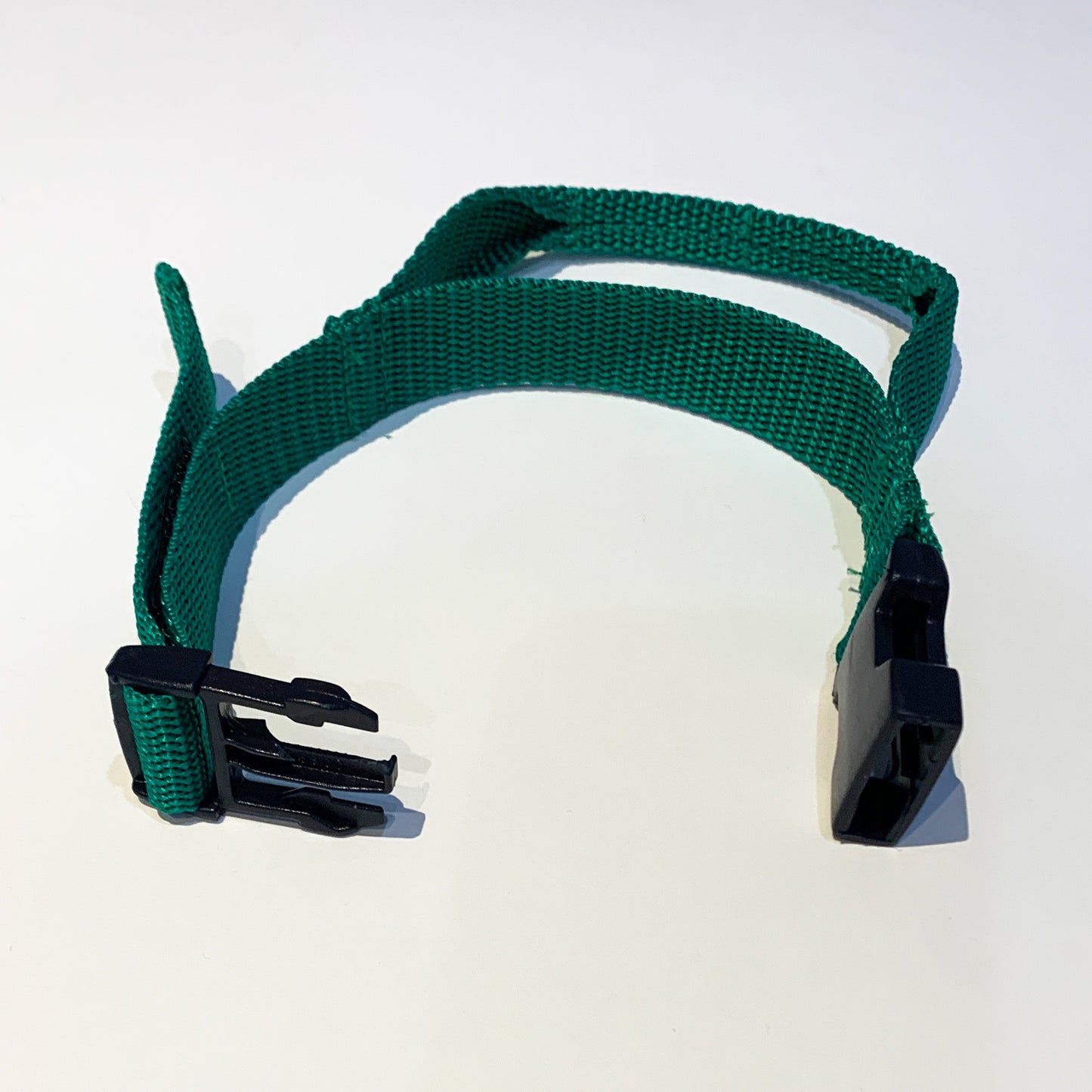 EZ Ski Tote - Green